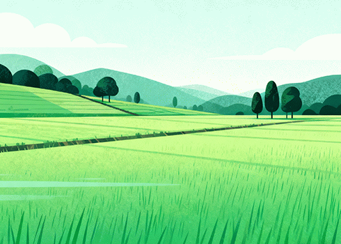 迎接新生命的到来,满满的爱与幸福交织