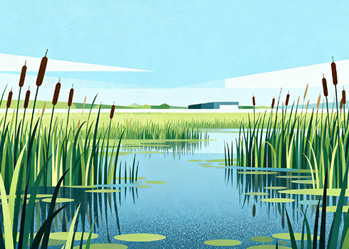 我的男孩 周岁快乐