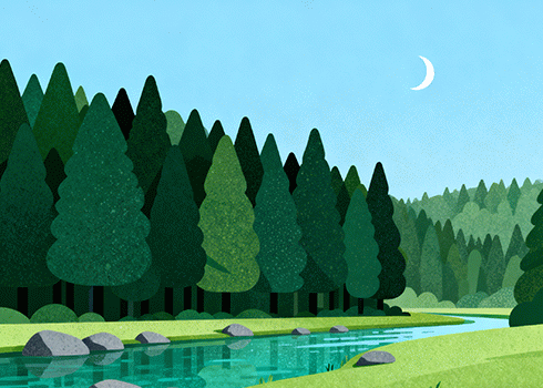 我的男孩 周岁快乐